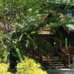 appalachian-ext-robbinsville-nc